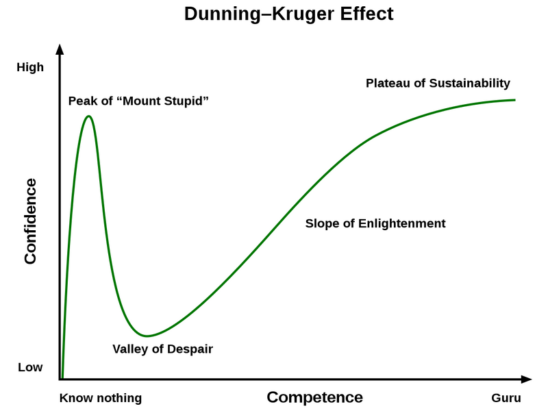 Dunning Kruger Effect